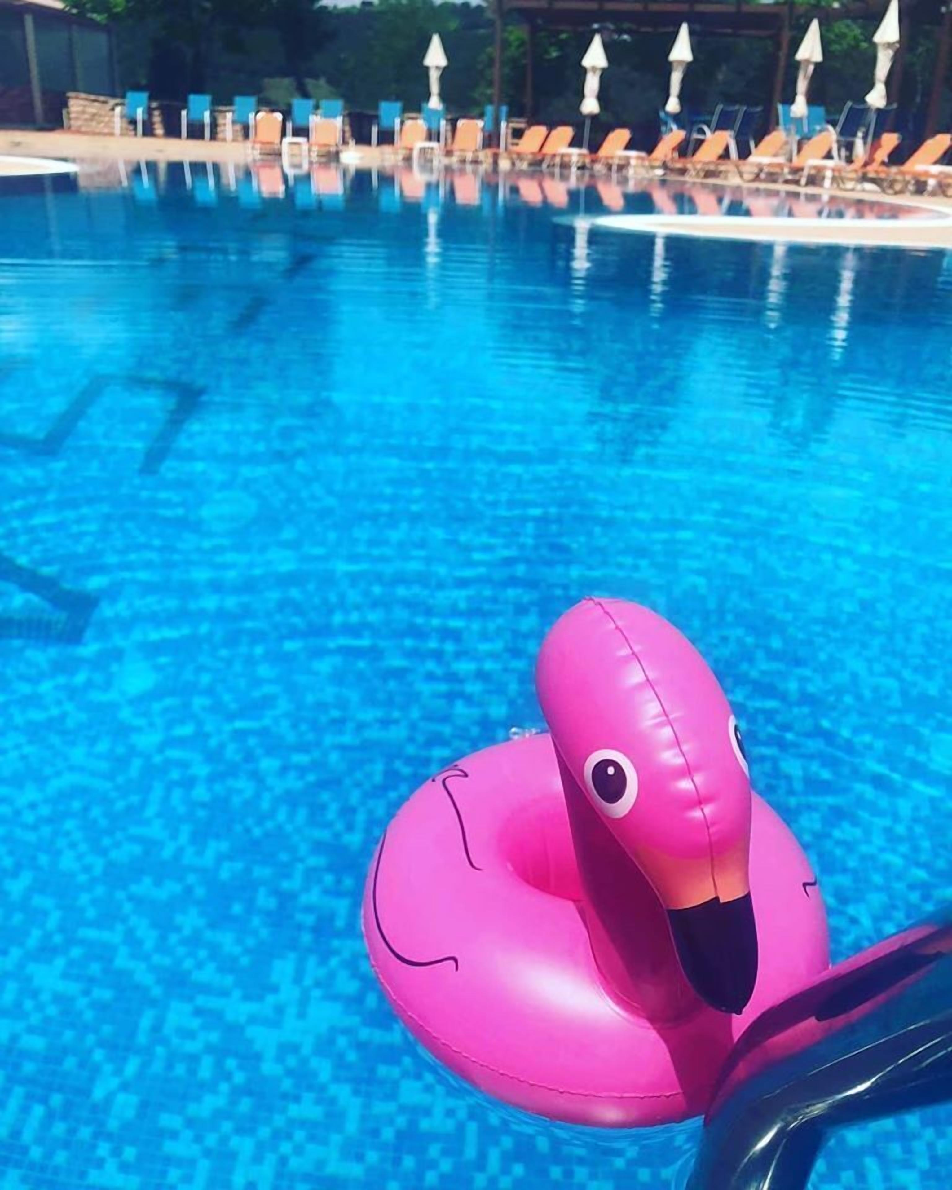 indoor pool, seasonal outdoor pool, pool umbrellas, pool loungers