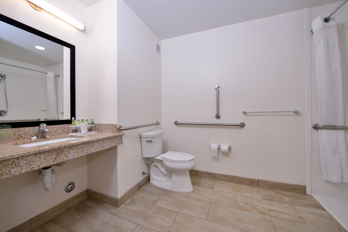 A modern bathroom with a granite countertop, a toilet, a shower with grab bars, and a mirror.