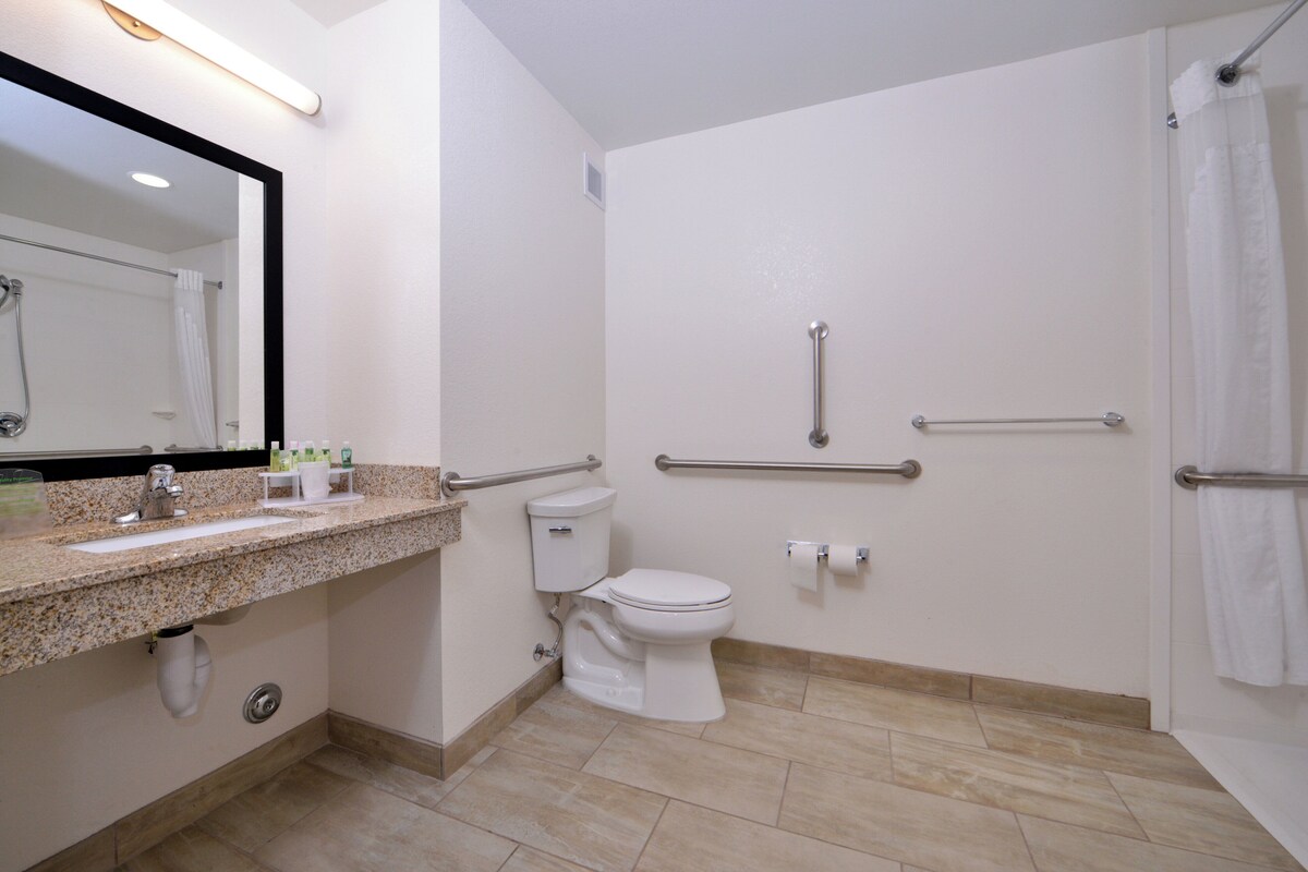 A modern bathroom with a granite countertop, a toilet, a shower with grab bars, and a mirror.