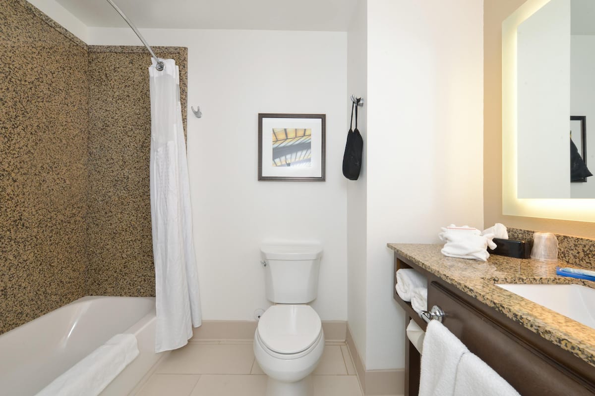 Bathroom | Combined shower/tub, free toiletries, hair dryer, towels