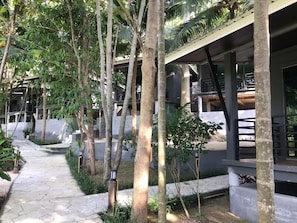 Superior Bungalow, Garden View