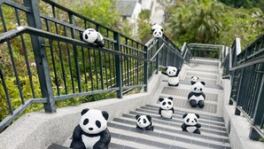 Un escalier orné de nombreuses figurines de pandas.