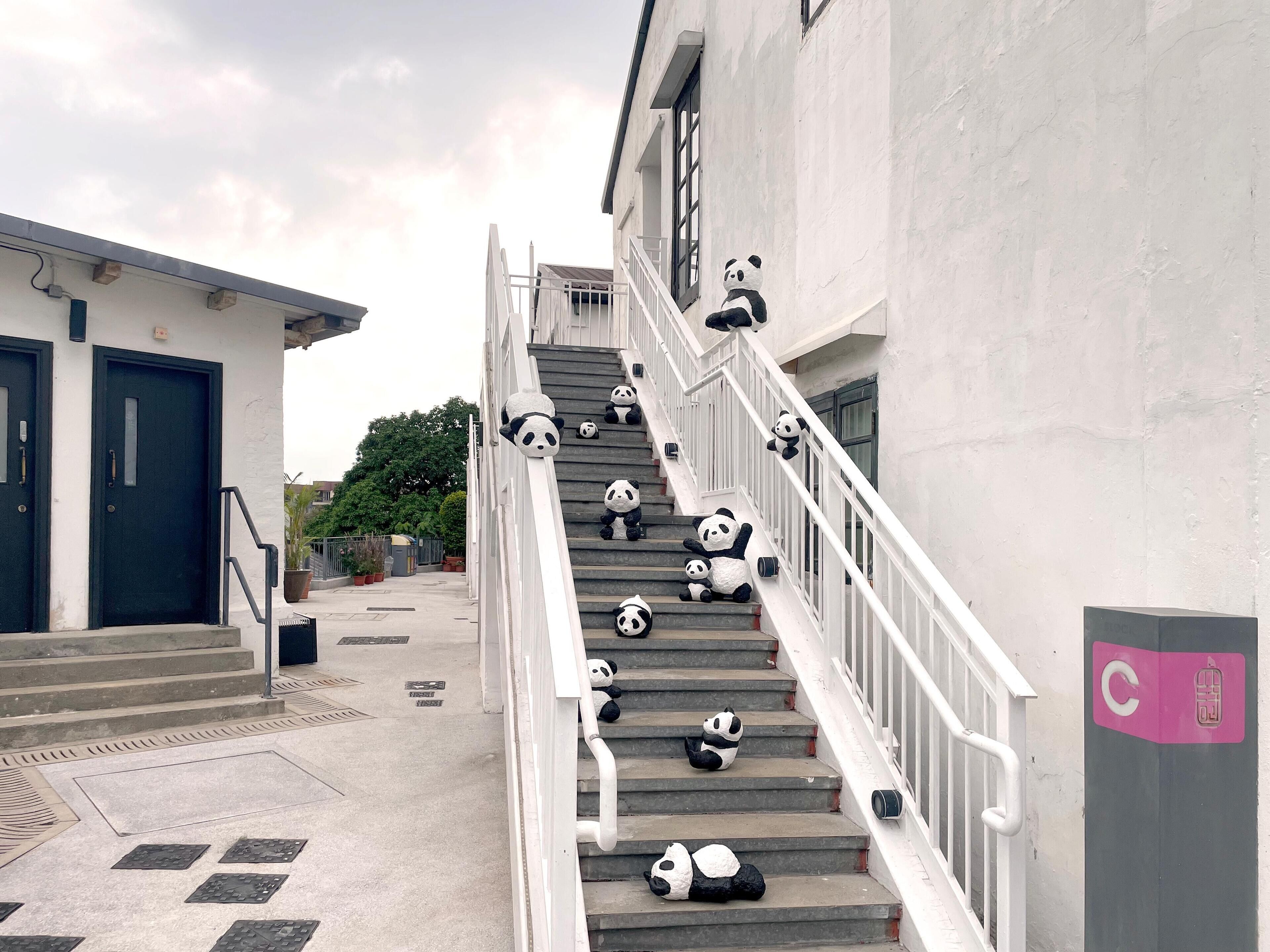 Konaklama yerinin ön cephesi