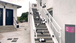 Un escalier orné de nombreuses statues de pandas.
