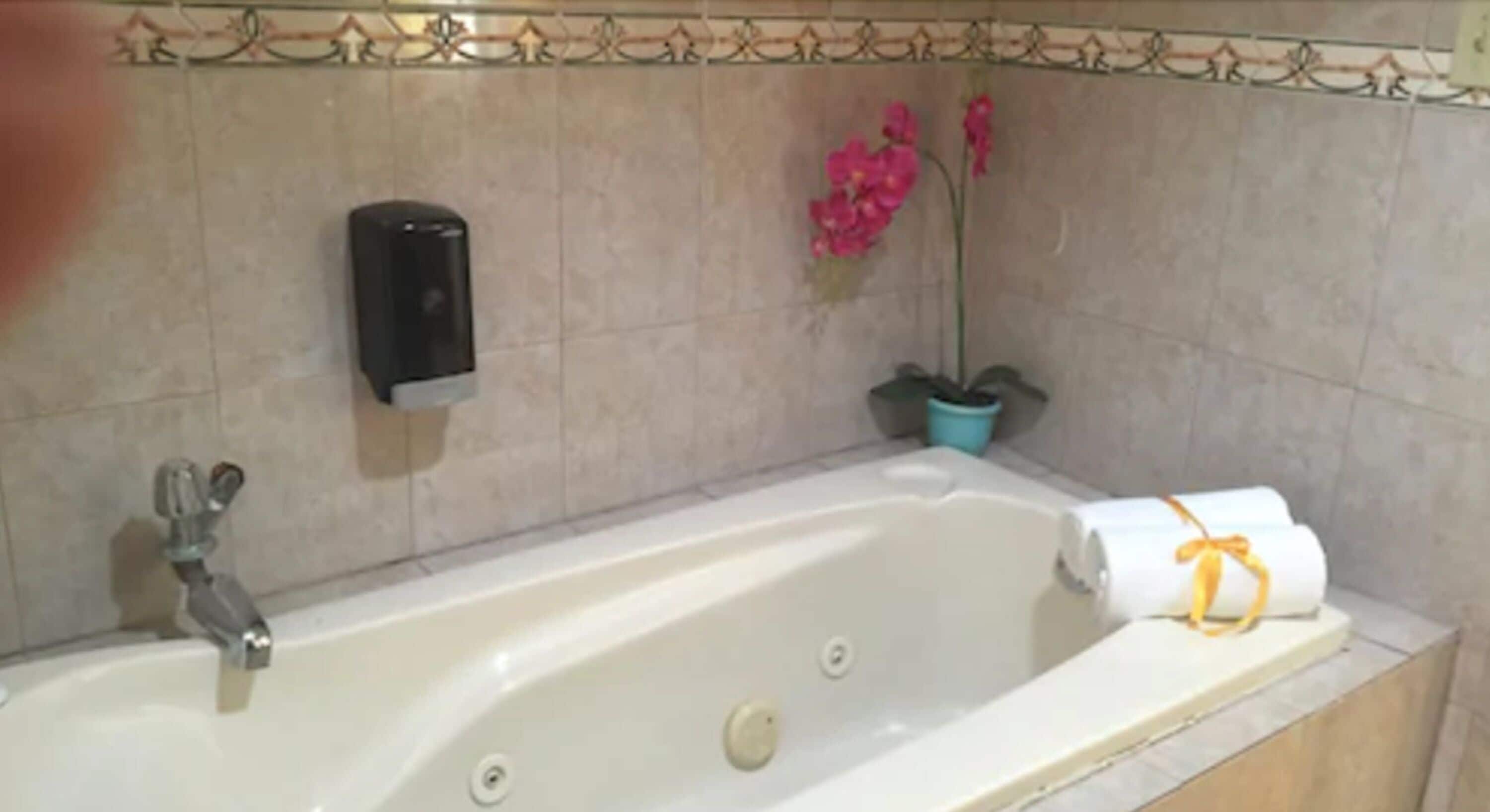 Foto - Hotel Via Espana