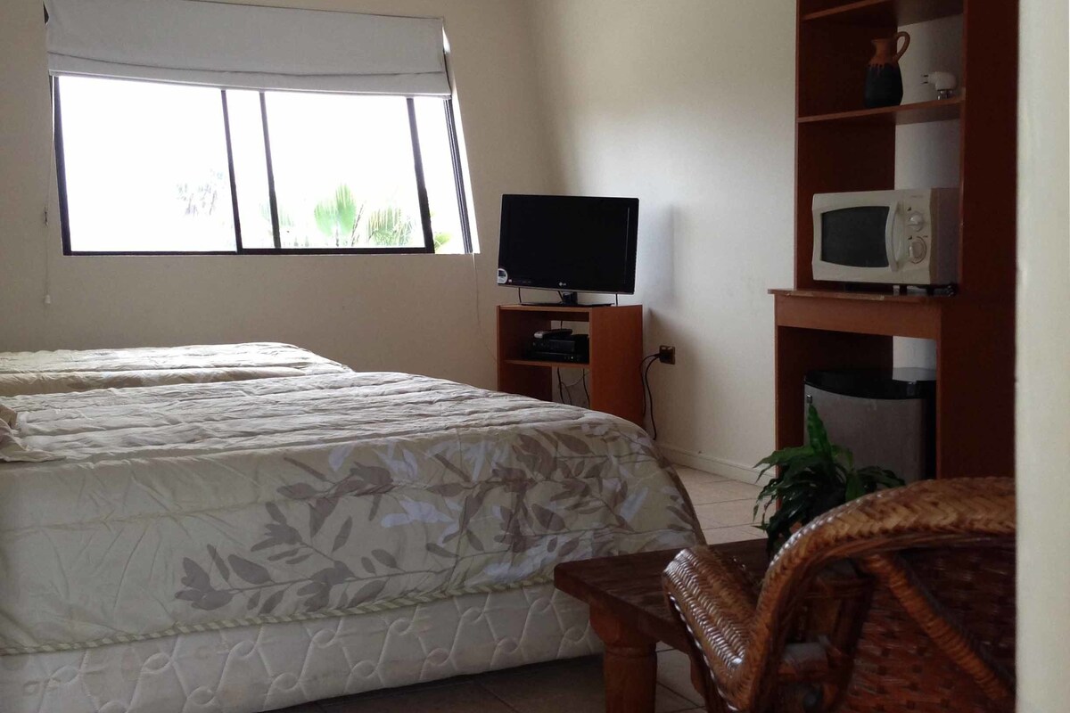 A bedroom with a bed, a television, a microwave, and a bookshelf.