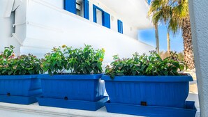 Un edificio blanco con contraventanas azules y una palmera.
