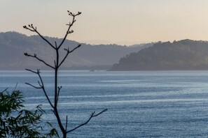 View from property - Hotel Las Caletas Lodge (Drake Bay)