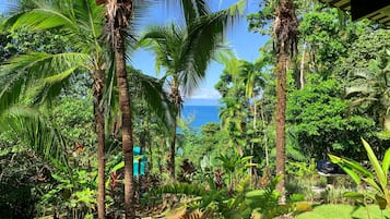 Suite | Vista al jardín