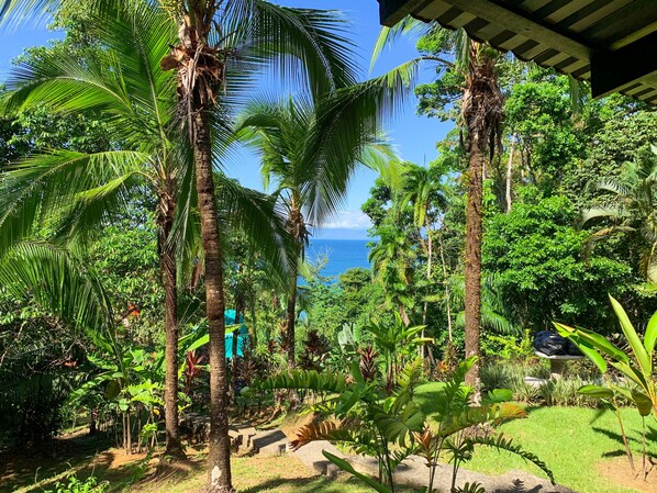 Suite | Vue sur le jardin