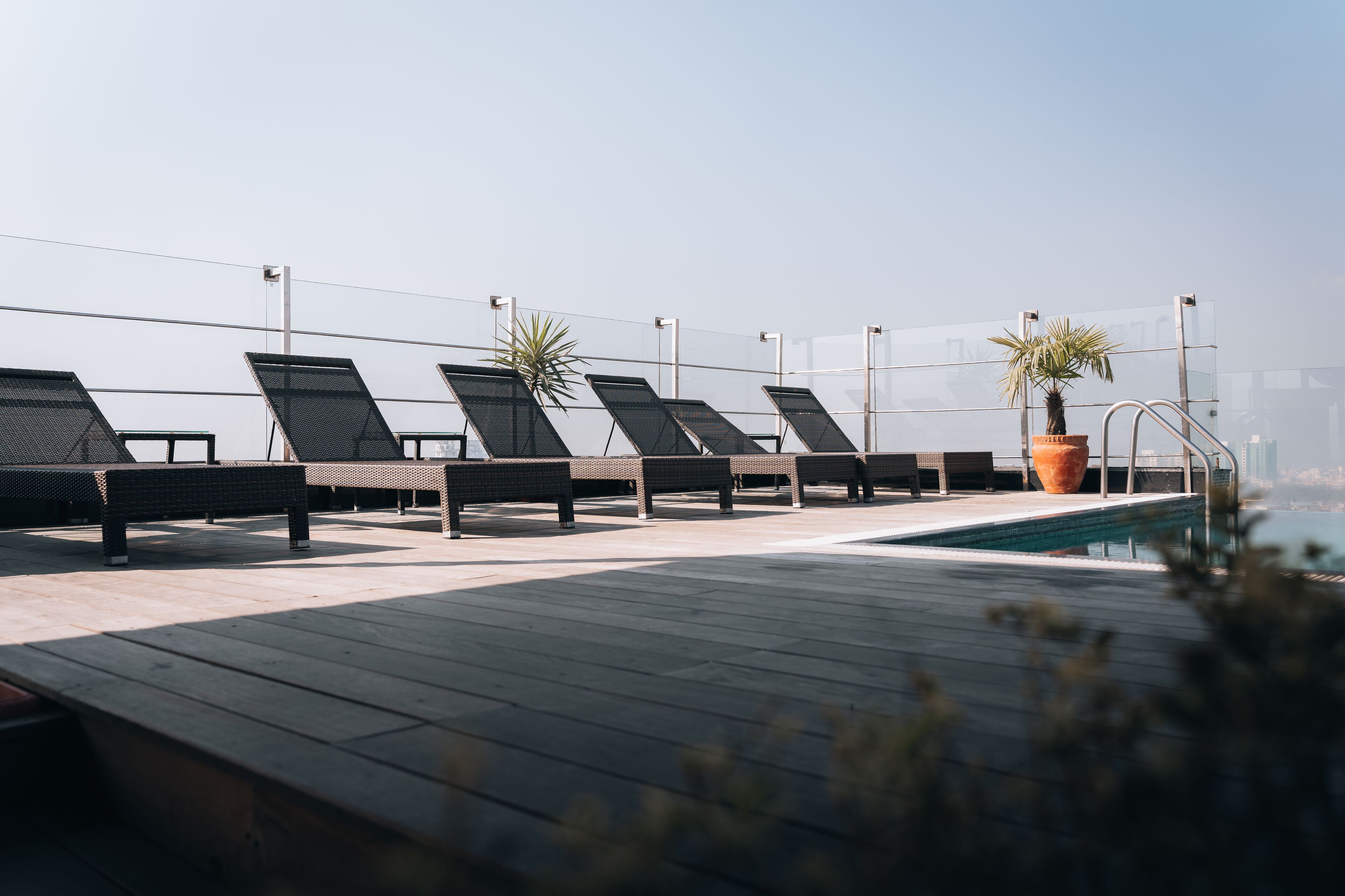 Zona de piscina en la azotea con tumbonas y plantas en macetas.