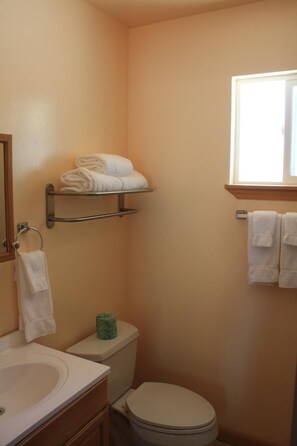 Combined shower/tub, hair dryer, towels