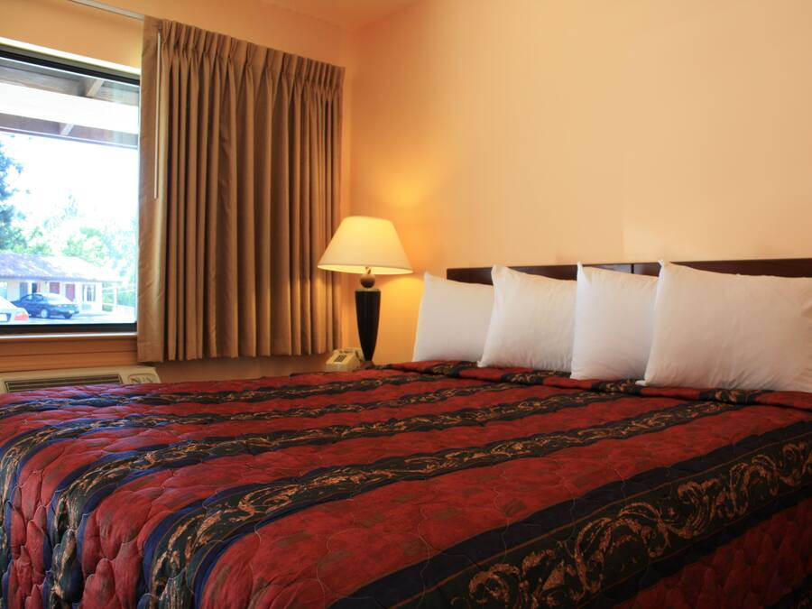 デラックス ルーム キングベッド 1 台 | デスク、遮光カーテン、アイロン / アイロン台、可動式ベッド