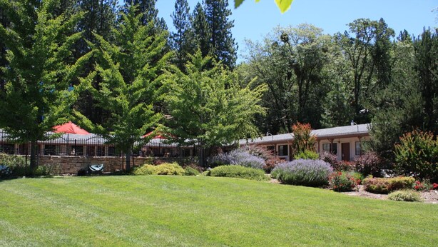 A well-maintained lawn with a stone wall and a building with a red roof. - Mother Lode Motel (Placerville)