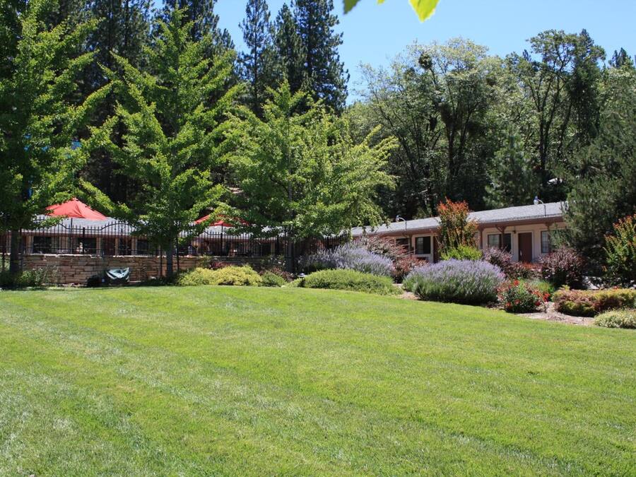 Khuôn viên nơi lưu trú