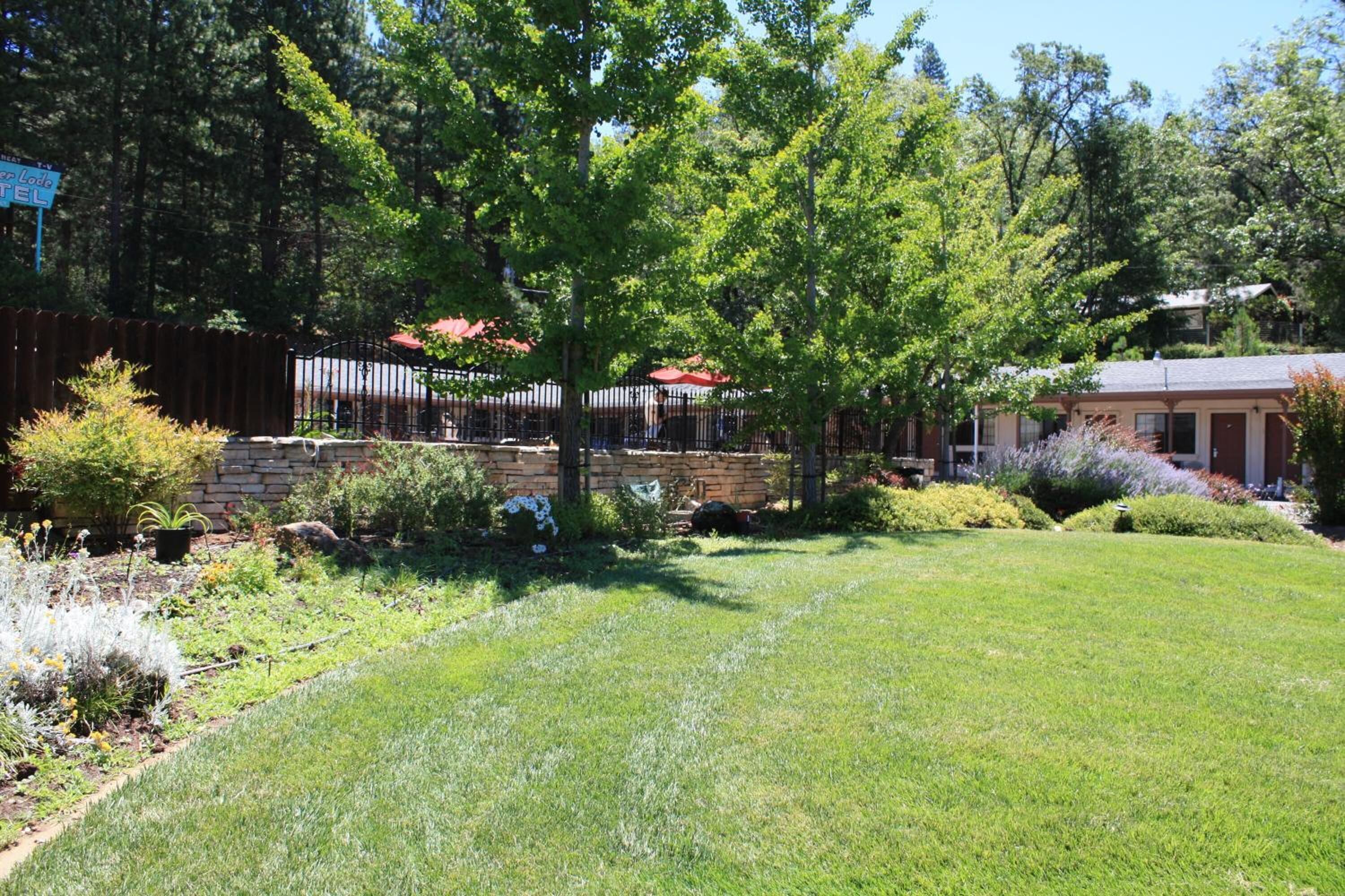 A well-maintained garden with a variety of plants and a lawn. There is a brick wall and a metal fence in the background.