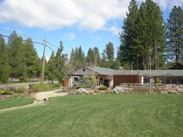 A house with a large yard, surrounded by tall trees.