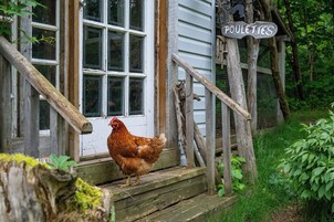 Servicio de la habitación