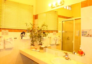 Habitación individual estándar | Lavabo en el baño
