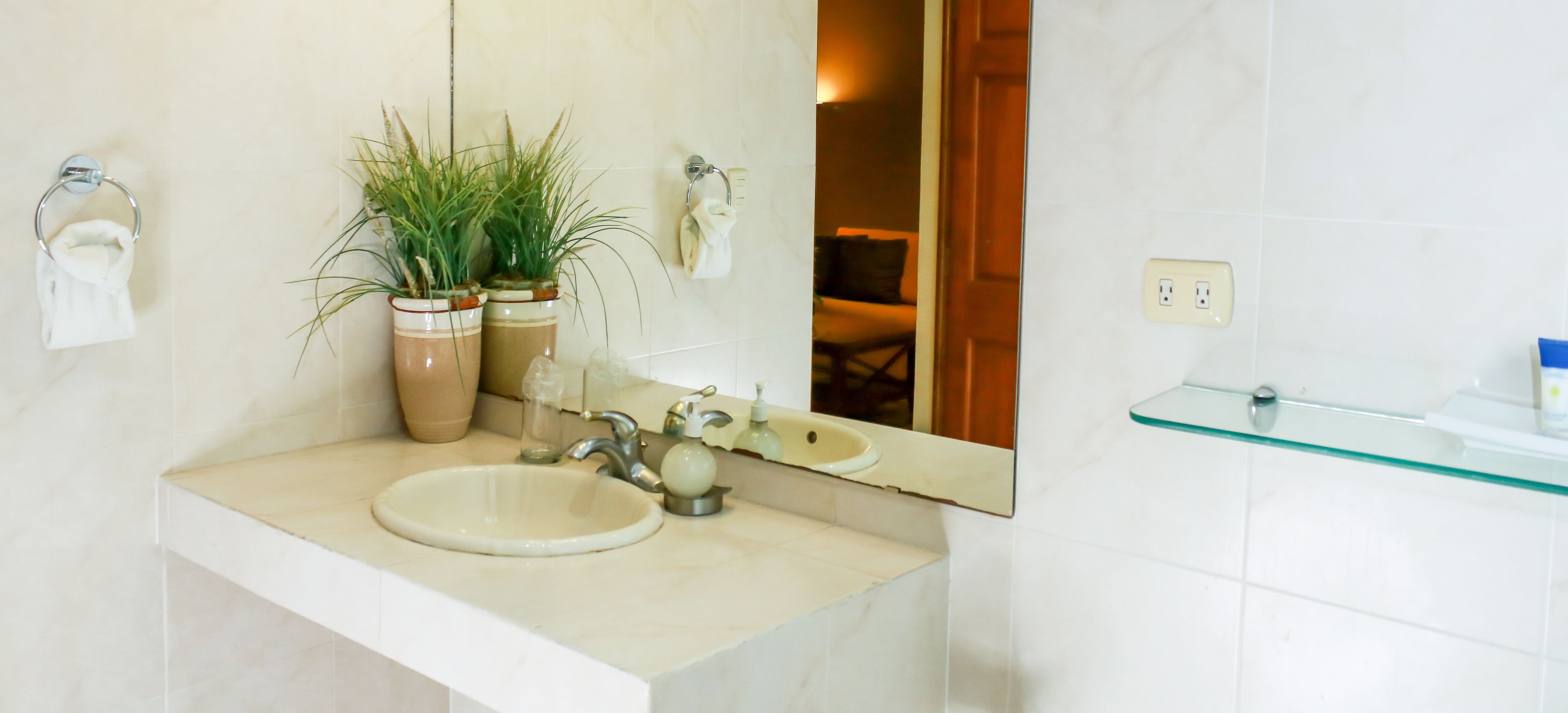 Une salle de bain avec un lavabo blanc, un miroir, une étagère en verre et une plante en pot.