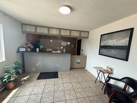 A small, well-lit room with a kitchen area, a dining table, a chair, and a potted plant.
