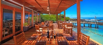 Red Mangrove Divers Lodge