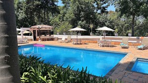 A swimming pool with lounge chairs and umbrellas, surrounded by trees. - Hotel El Rebozo (Valle de Bravo)