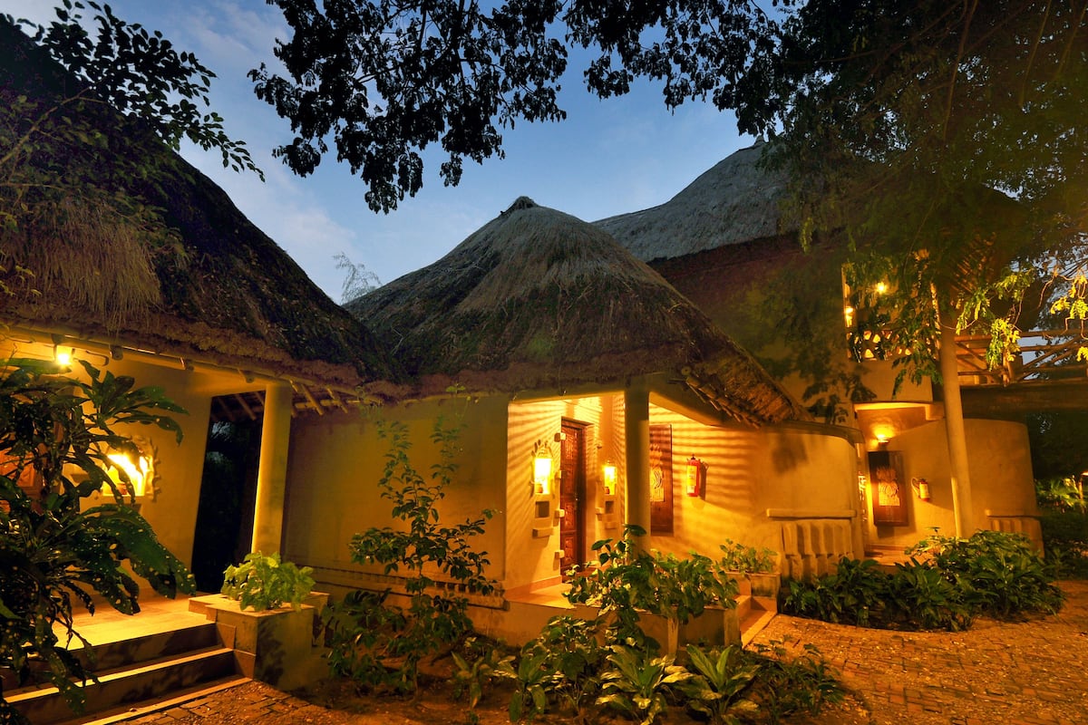 A thatched-roof building with a well-lit entrance, surrounded by potted plants and a cobblestone path.