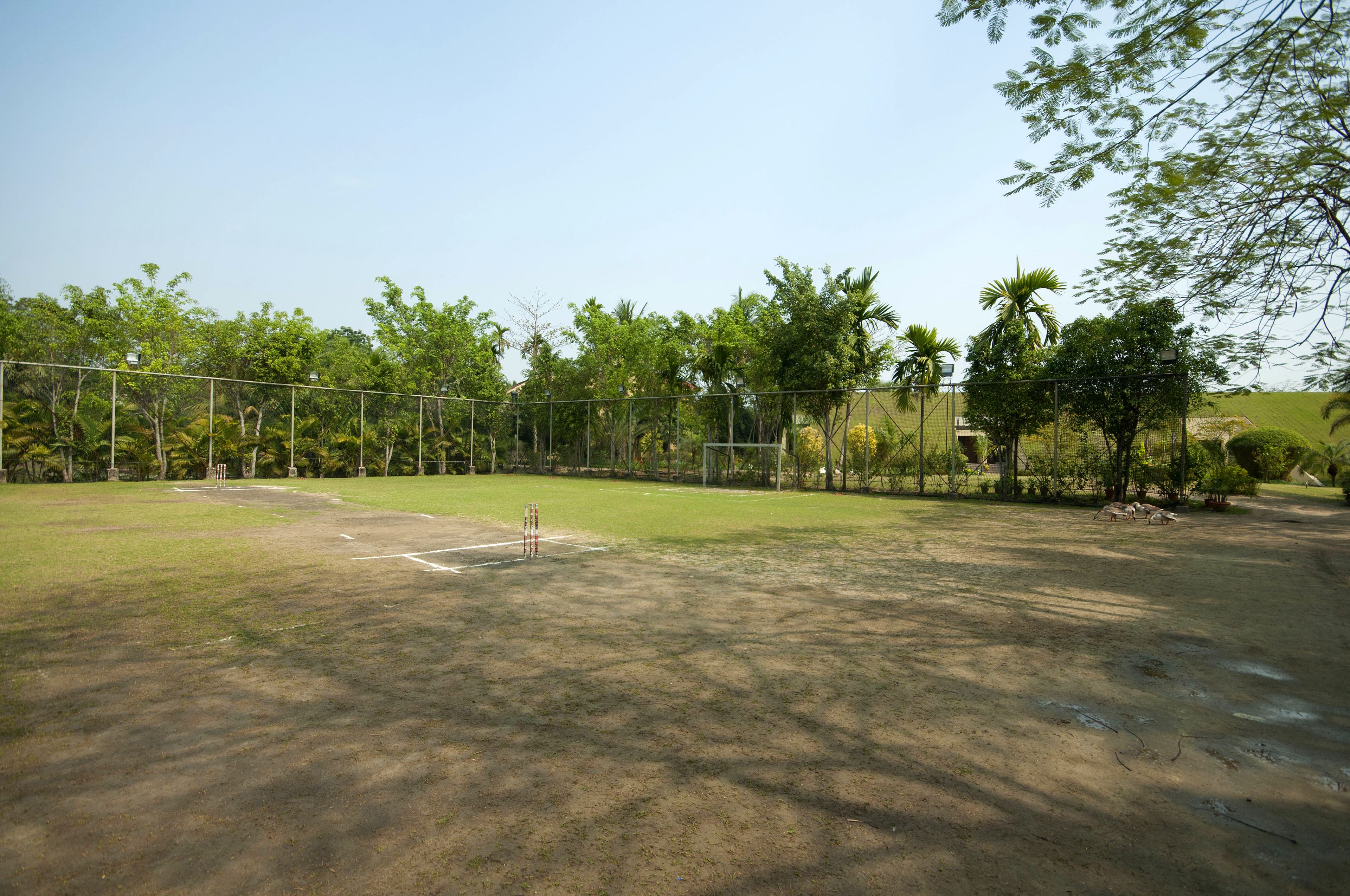 An outdoor sports field with a cricket pitch, surrounded by trees and a fence.