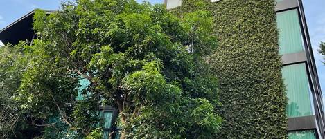 Fachada da propriedade