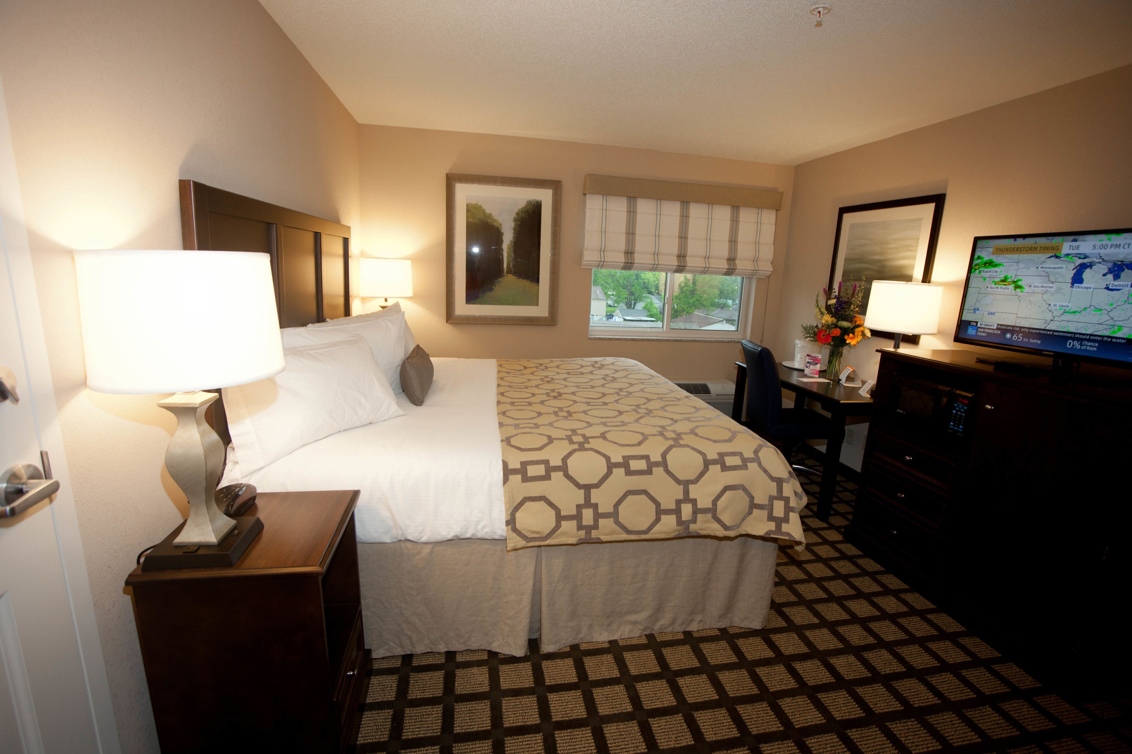 room, 1 king bed, accessible, non smoking | view from room