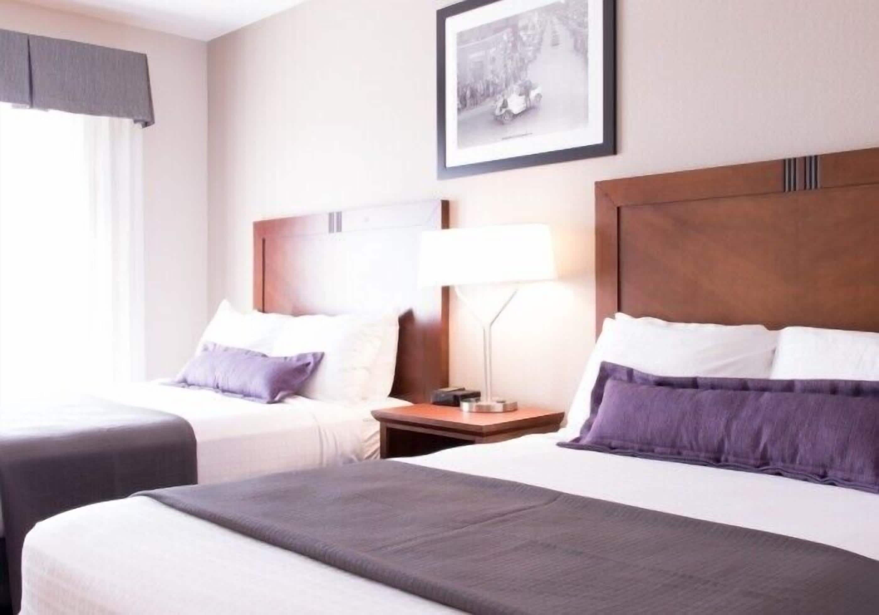 Chambre (Queen Queen) | Literie hypoallergénique, bureau, fer et planche à repasser