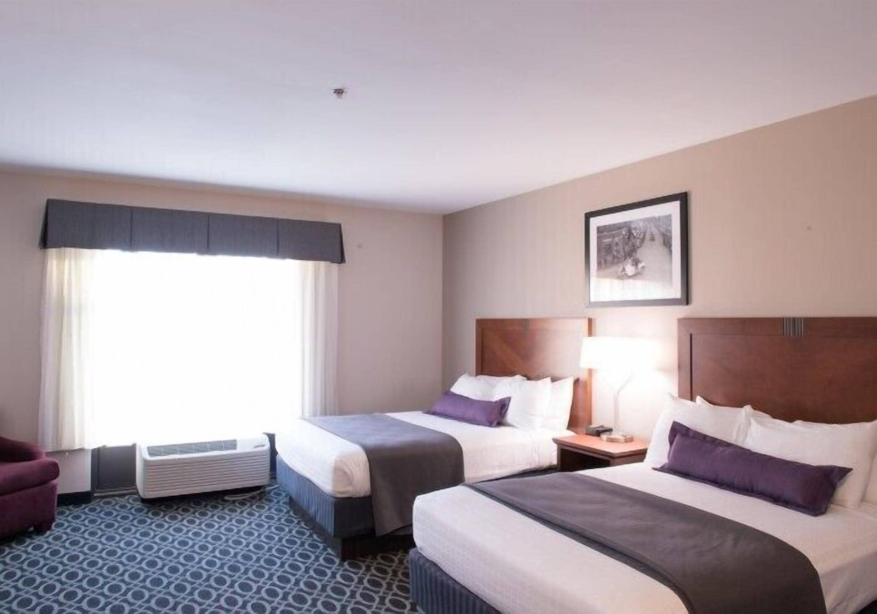 Chambre, accessible aux personnes à mobilité réduite (Queen Queen) | Literie hypoallergénique, bureau, fer et planche à repasser