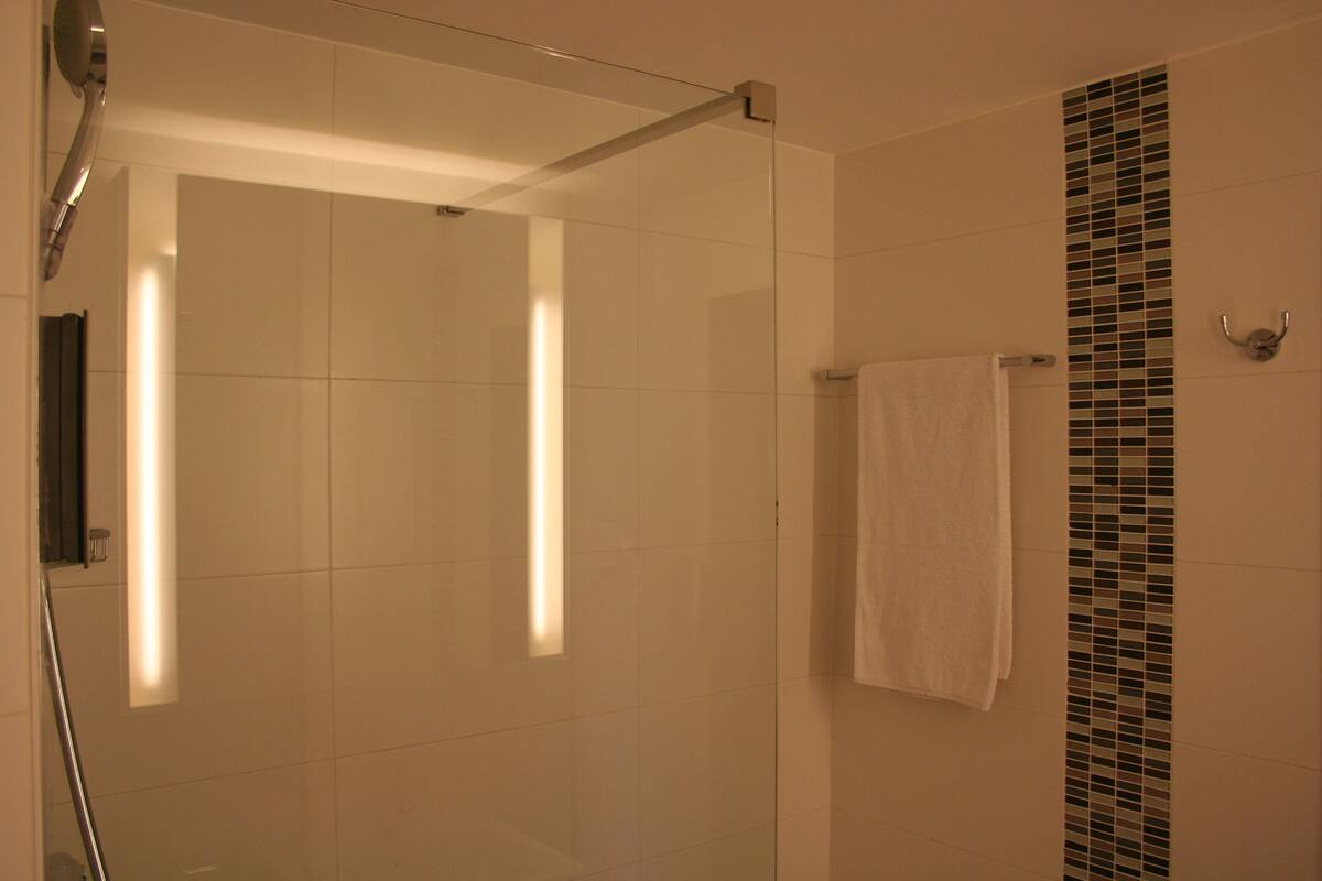 standard room | bathroom | shower, hair dryer, towels