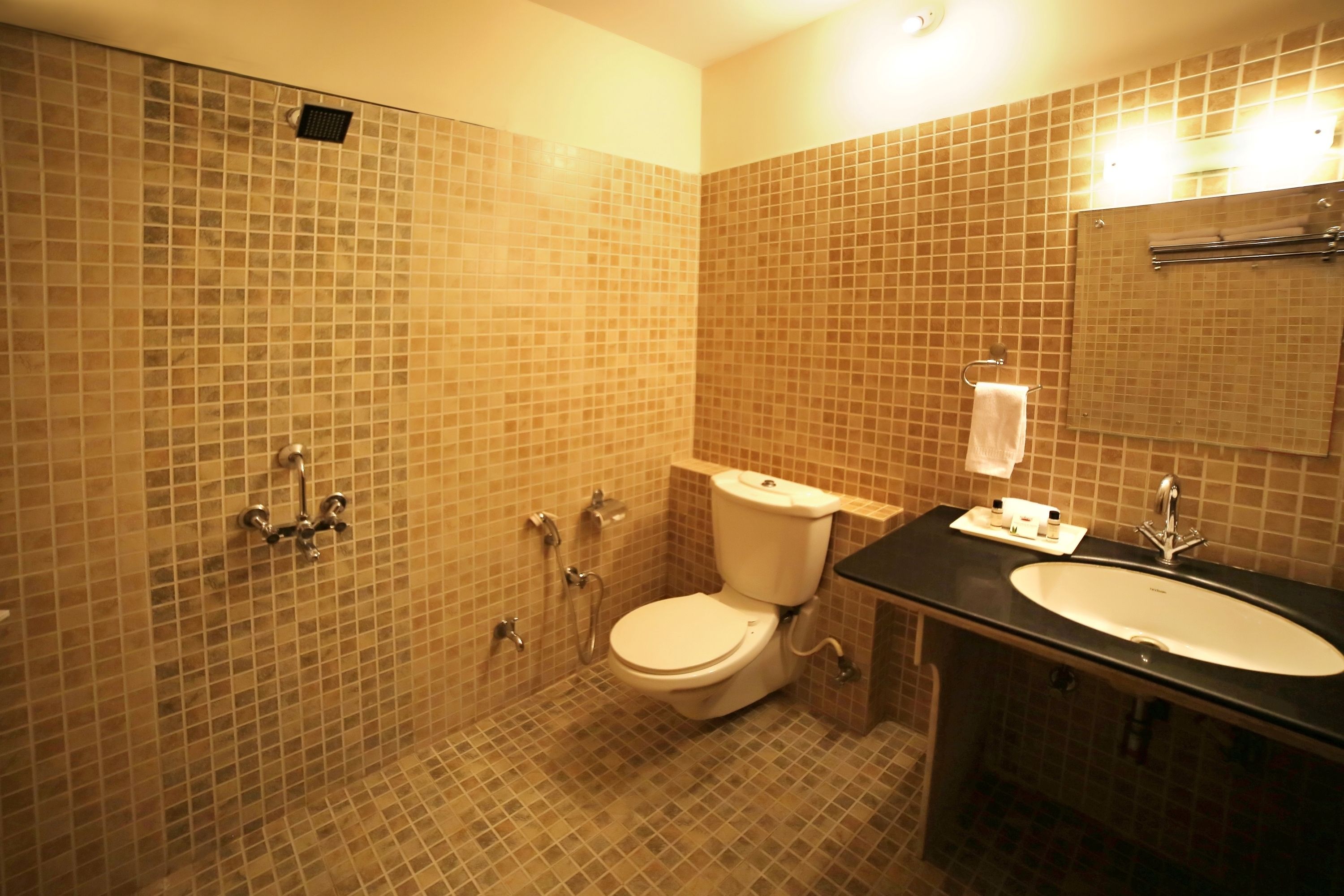 Foto - Hotel Royal Pratap Niwas