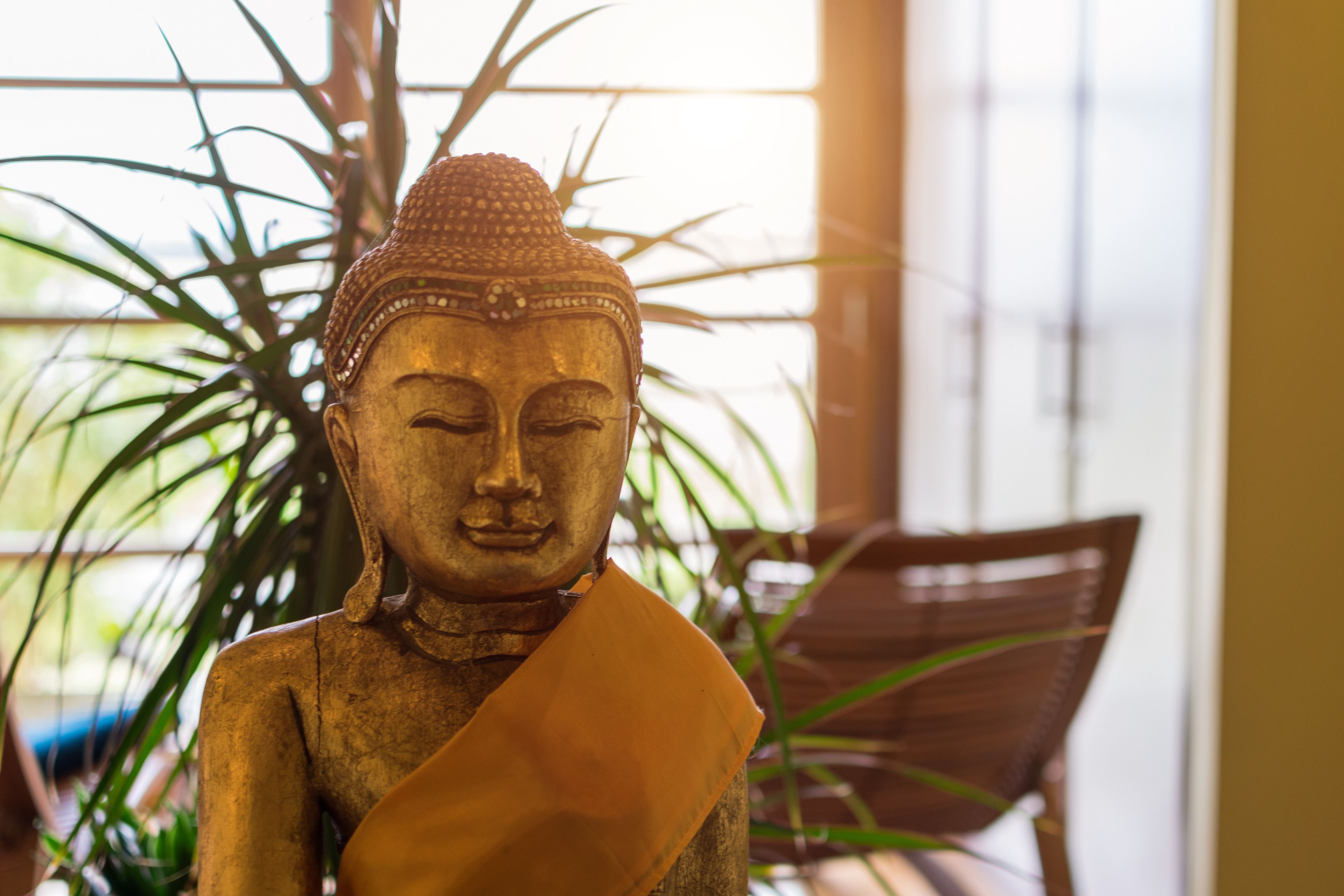 A statue of a Buddha in a room with a chair and plants.