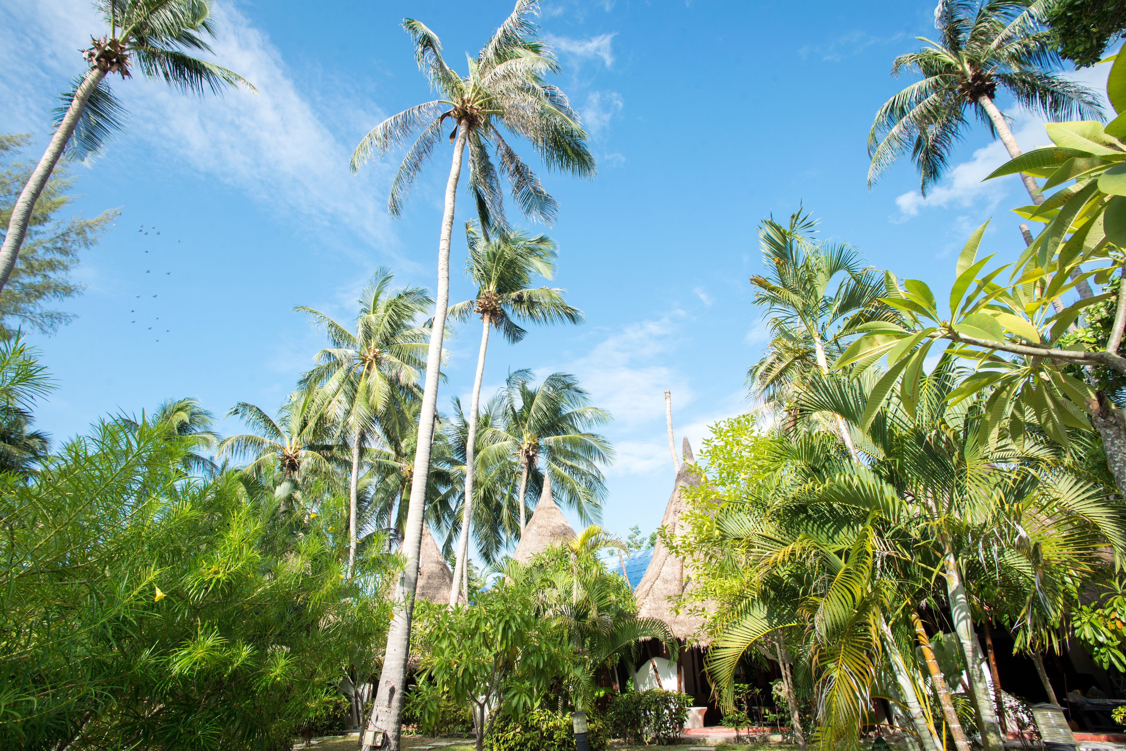 Pemandangan dari properti