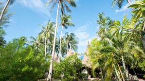 Un jardí tropical amb palmeres altes i una construcció amb teules de palla.