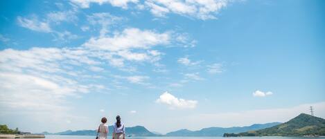 Vista desde la propiedad