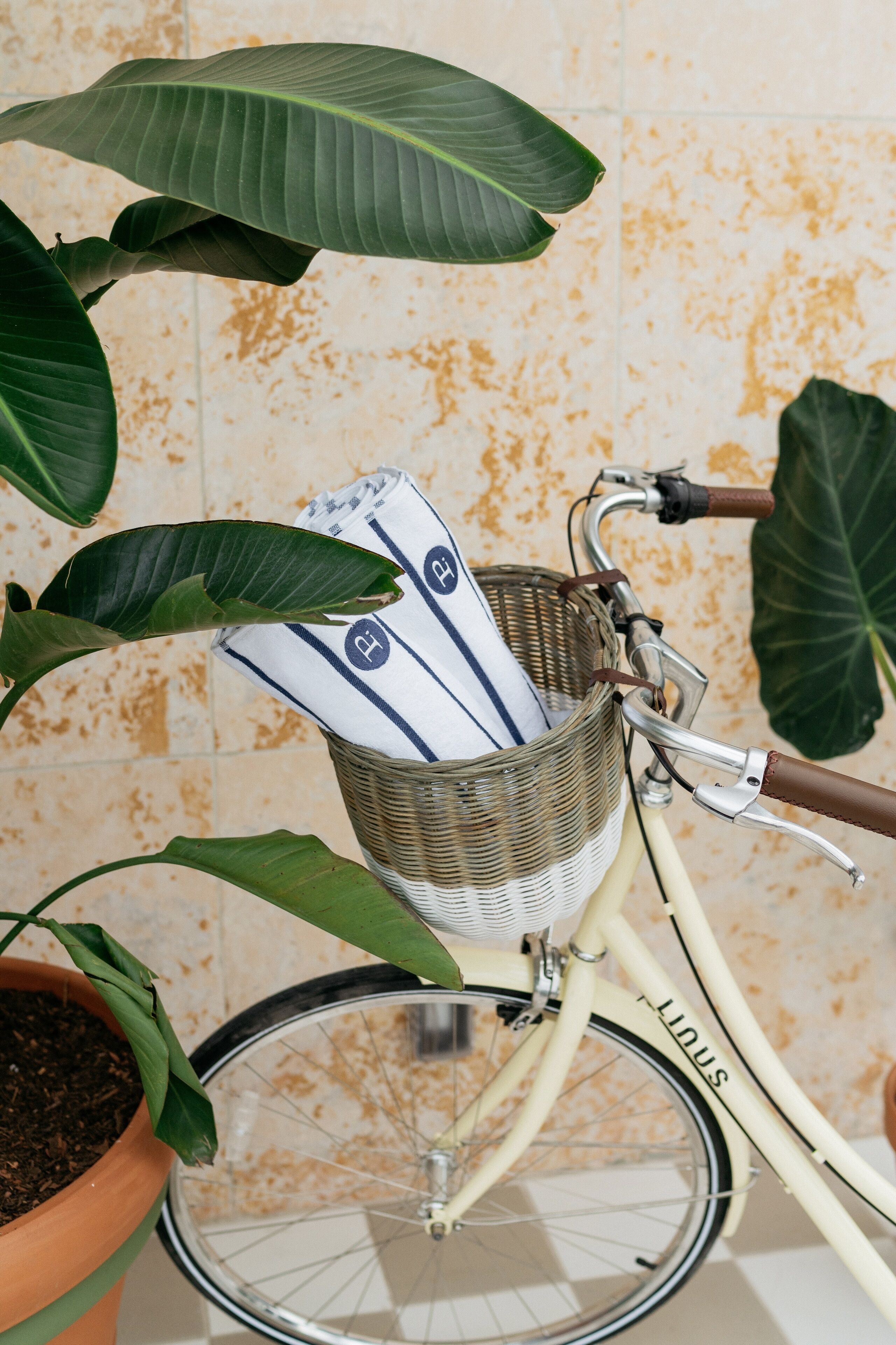 Photo - Palihouse Santa Barbara