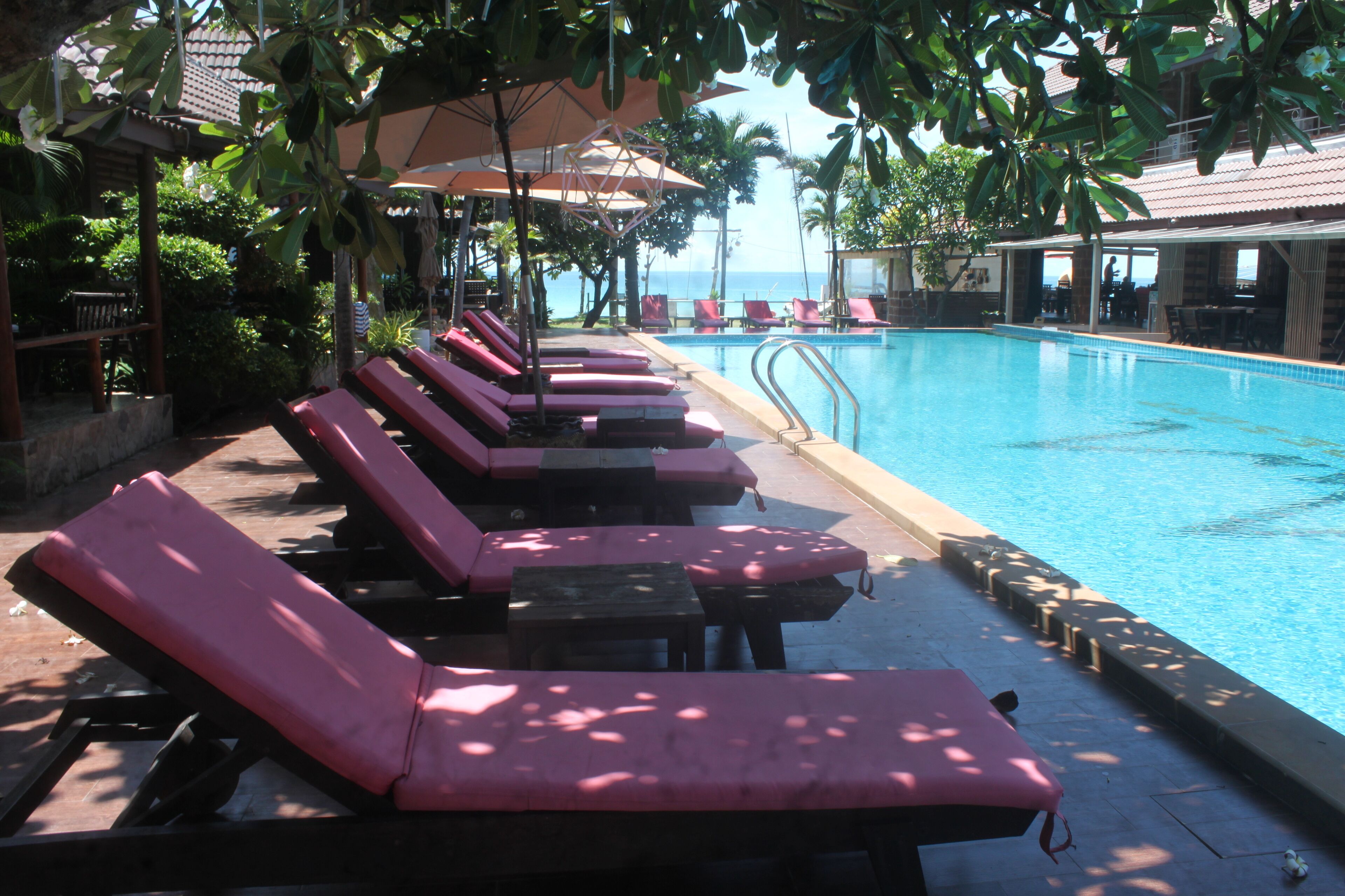 outdoor pool, pool loungers