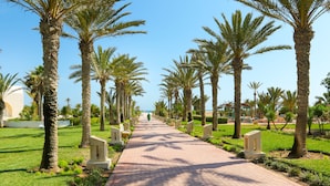 رواق