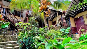 Un exuberante jardín con una palmera, escalones de piedra y diversas plantas tropicales.