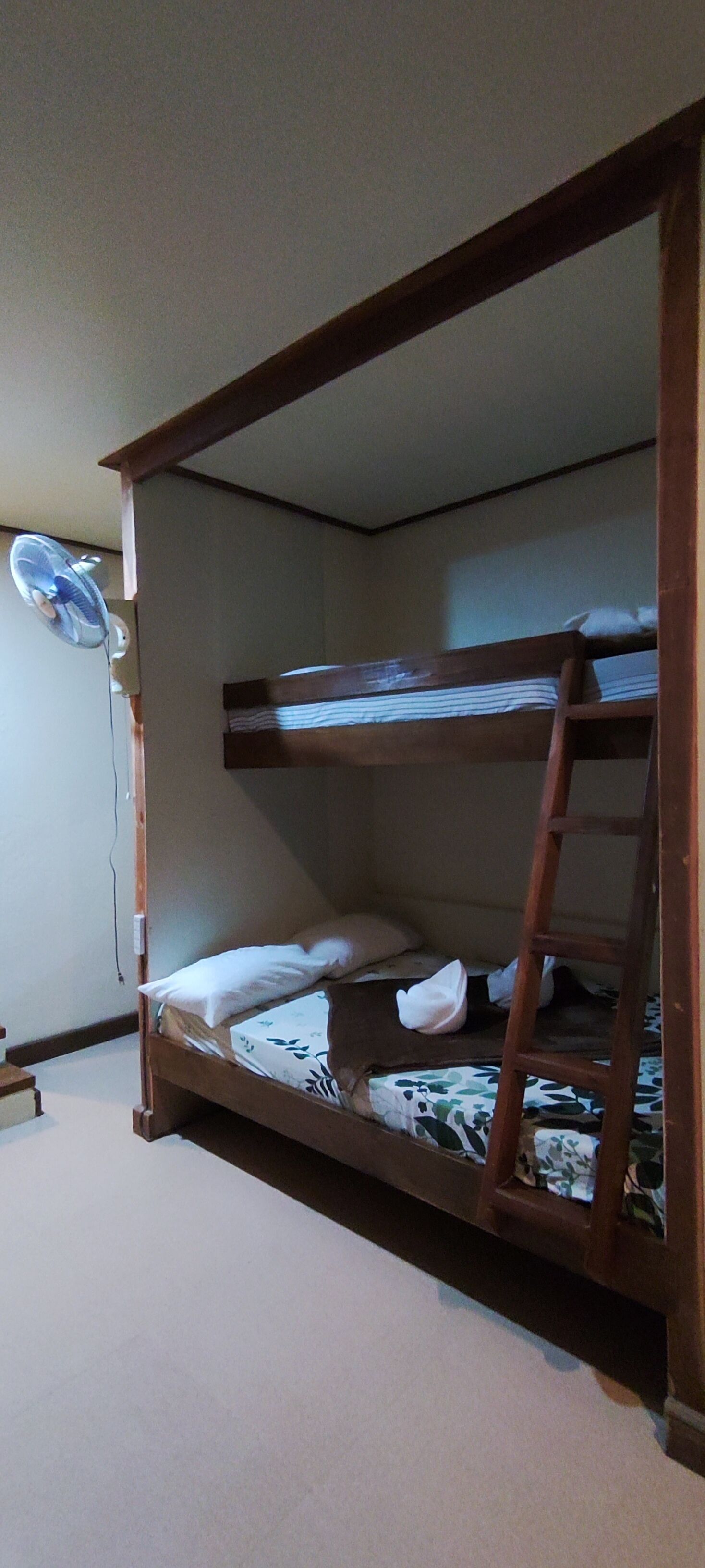Un lit superposé avec une échelle, un ventilateur et un oreiller sur le lit du bas.