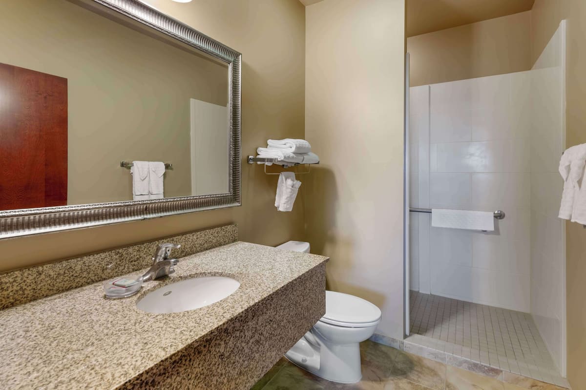 suite, 1 king bed, non smoking, refrigerator & microwave | bathroom | free toiletries, hair dryer, towels
