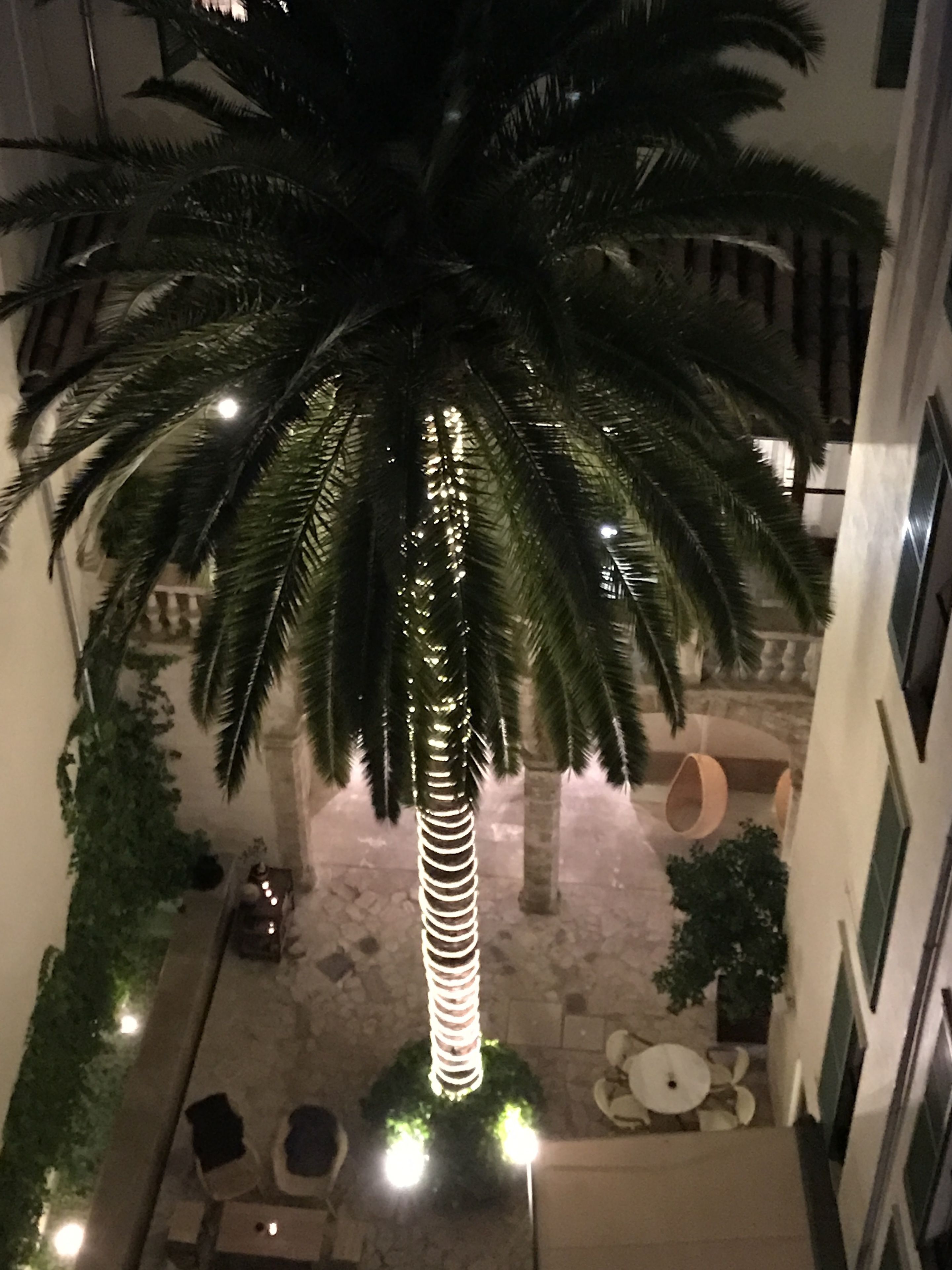Photo - Petit Palace Hotel Tres