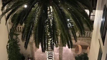 Un patio con una palmera, una silla colgante y una mesita.