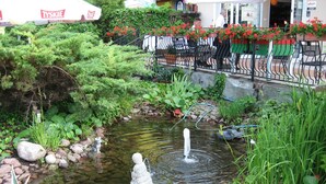 A small pond with a fountain, surrounded by various plants and rocks. - Motelik Mister (Mielno)