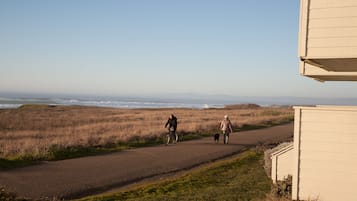 A paved path with a person riding a bicycle and another walking a dog.