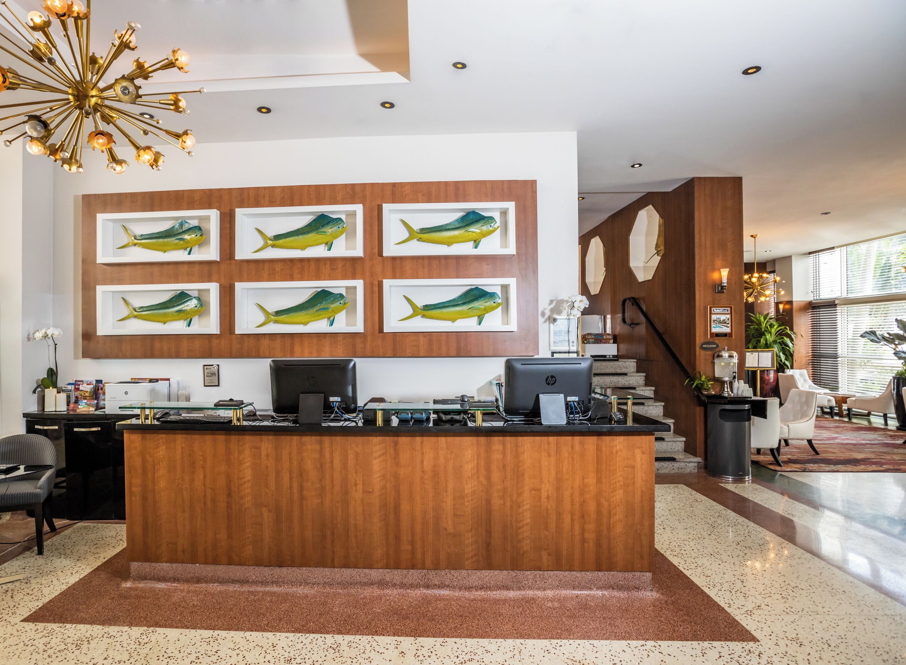 Foto - Hotel Croydon